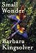 Small Wonder: Essays
