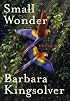 Small Wonder: Essays