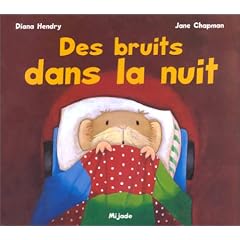Des bruits dans la nuit