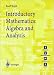 Introductory Mathematics: Algebra and Analysis (Springer Undergraduate Mathematics) (Springer Undergraduate Mathematics Series)