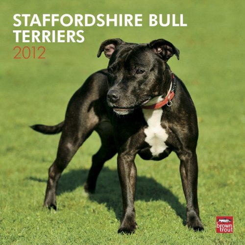 Staffordshire Bull Terriers 2012 Square 12X12 Calendar (Multilingual Edition)