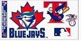 Toronto Blue Jays - Apeels MLB Team Logo
