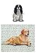 Cavalier King Charles (Tri-colored) Glass Cutting Board