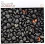 New World Ambient 2