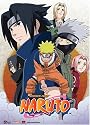 Naruto Leaf Village Group Cloth Wall Scroll Poster GE-9817