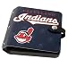 Cleveland Indians Road O'Foto Photo Album