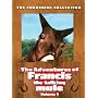 The Adventures of Francis the Talking Mule, Vol. 1 (Francis the Talking Mule / Francis Goes to the Races / Francis Goes to West Point / Francis Covers the Big Town)