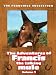 DVD : The Adventures of Francis the Talking Mule, Vol. 1 (Francis the Talking Mule / Francis Goes to the Races / Francis Goes to West Point / Francis Covers the Big Town)