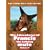 The Adventures of Francis the Talking Mule, Vol. 1 (Francis the Talking Mule / Francis Goes to the Races / Francis Goes to West Point / Francis Covers the Big Town)