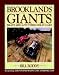 Brooklands Giants