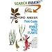 Field Guide to Edible Wild Plants