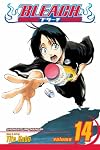 Bleach, Vol. 14: White Tower Rocks