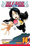 Bleach, Vol. 14: White Tower Rocks
