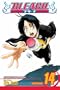 Bleach, Vol. 14