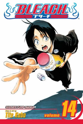 Bleach: v. 14
