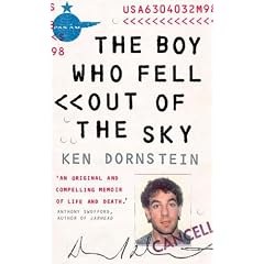The Boy Who Fell Out of the Sky