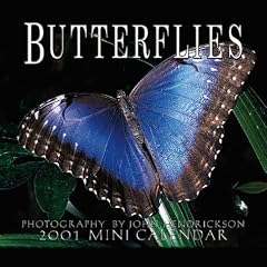 Butterflies 2001 Calendar