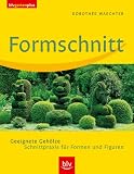 Formschnitt: Geeignete Gehlze. Schnittpraxis fr Formen und Figuren
