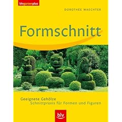 Formschnitt: Geeignete Geh�lze. Schnittpraxis f�r Formen und Figuren