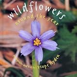 Wildflowers Around The Year