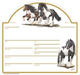 Stalltafel Irish Tinker - Christina Boetzel Reitsport Pferd Pferde Stallschild Schild Reiten Geschenk Deko