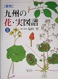 原色 九州の花・実図譜〈2〉の画像