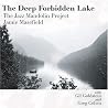 Image of album by The Jazz Mandolin Project
