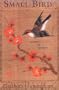 Small Bird