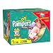 Health & Personal Care : Pampers Baby-Dry Diapers, Size 1, Economy Plus Pack, 228 Diapers