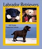 Labrador Retrievers Slimline Calendar: 2003