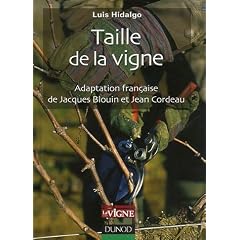 Taille de la vigne