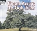 From Acorn to Oak Tree (Welcome Books)