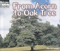 From Acorn to Oak Tree (Welcome Books)