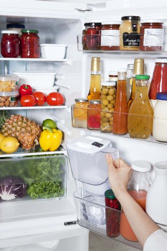 BRITA(ブリタ)ポット型浄水器 リクエリ(1.1リットル)