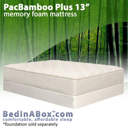 PacBamboo 13