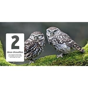 http://ecx.images-amazon.com/images/I/51V3P8Vd8mL._AA300_.jpg