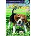 Lucy on the Loose (A Stepping Stone Book(TM))