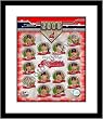 2008 Cleveland Indians MLB Framed 8x10 Photograph Team Collage