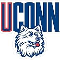 Connecticut Huskies (UConn) Car Magnet