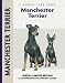 Manchester Terrier (Comprehensive Owner's Guide)