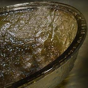 1 Quart Sea Green Serving Bowl by JSG Oceana