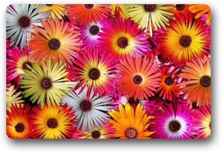 Top Fabric &amp; Non-Slip Rubber Indoor/Outdoor Doormat Door Mats - Beautiful Daisy Flower Pattern Floor Mat Rug for Home/Office/Bedroom