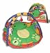 Baby : Baby Genius Cozy Friends Play Gym
