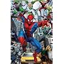 Spider-Man (Chased by Villians) Art Poster Print - 24" X 36"