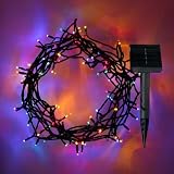 Solar Powered LED Fairy Lights