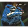 Qubism 2294 ~ Qubism