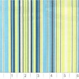Amy Butler Belle Oxford Stripe Lime