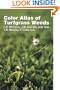 Color Atlas of Turfgrass Weeds