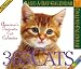More About The Original 365 Cats Calendar 2006 (Page a Day Colour Calendar)