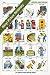 Book Renyi Picture Dictionary Hebrew (The Editions Raenyi Heritage Series)